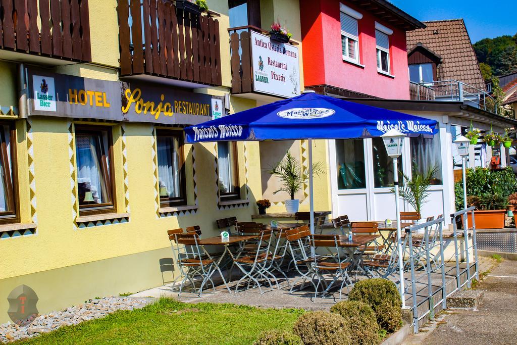 Hotel Sonja Бад-Беллинген Экстерьер фото